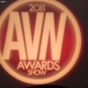 avn-awards_4193