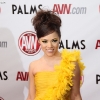 avn-awards_4070