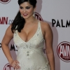 avn-awards_4093