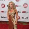 avn-awards_4106