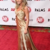 avn-awards_4107