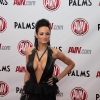 avn-awards_4115