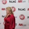 avn-awards_4174