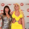 avnredcarpet_7229