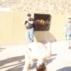 dodgeball_4587