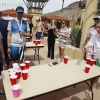 beer-pong_019