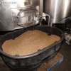 nola_brewing_3146