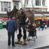 citysights_3588