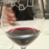 winetasting_3538
